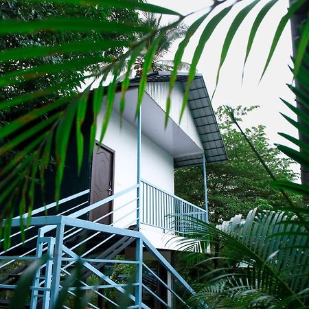 Green Aura Private Villas سلطان بتيري المظهر الخارجي الصورة